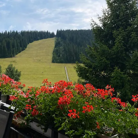 Mit 3 - Belle - Top-lage, Sauna, Hs-card